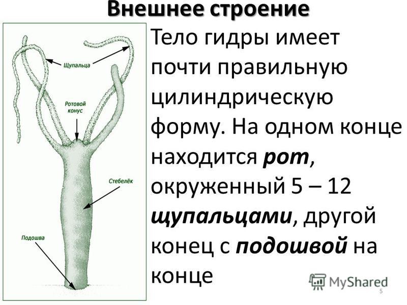 Восстановить доступ к кракену